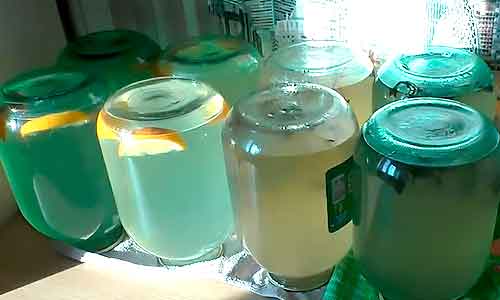 Березовый сок на зиму домашние рецепты с лимоном и апельсином