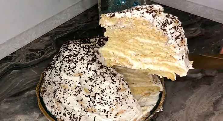 Торт черепаха рецепт с фото в домашних условиях со сметаной