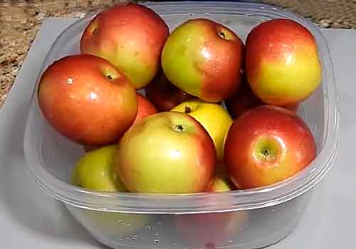 Яблочный уксус в домашних условиях